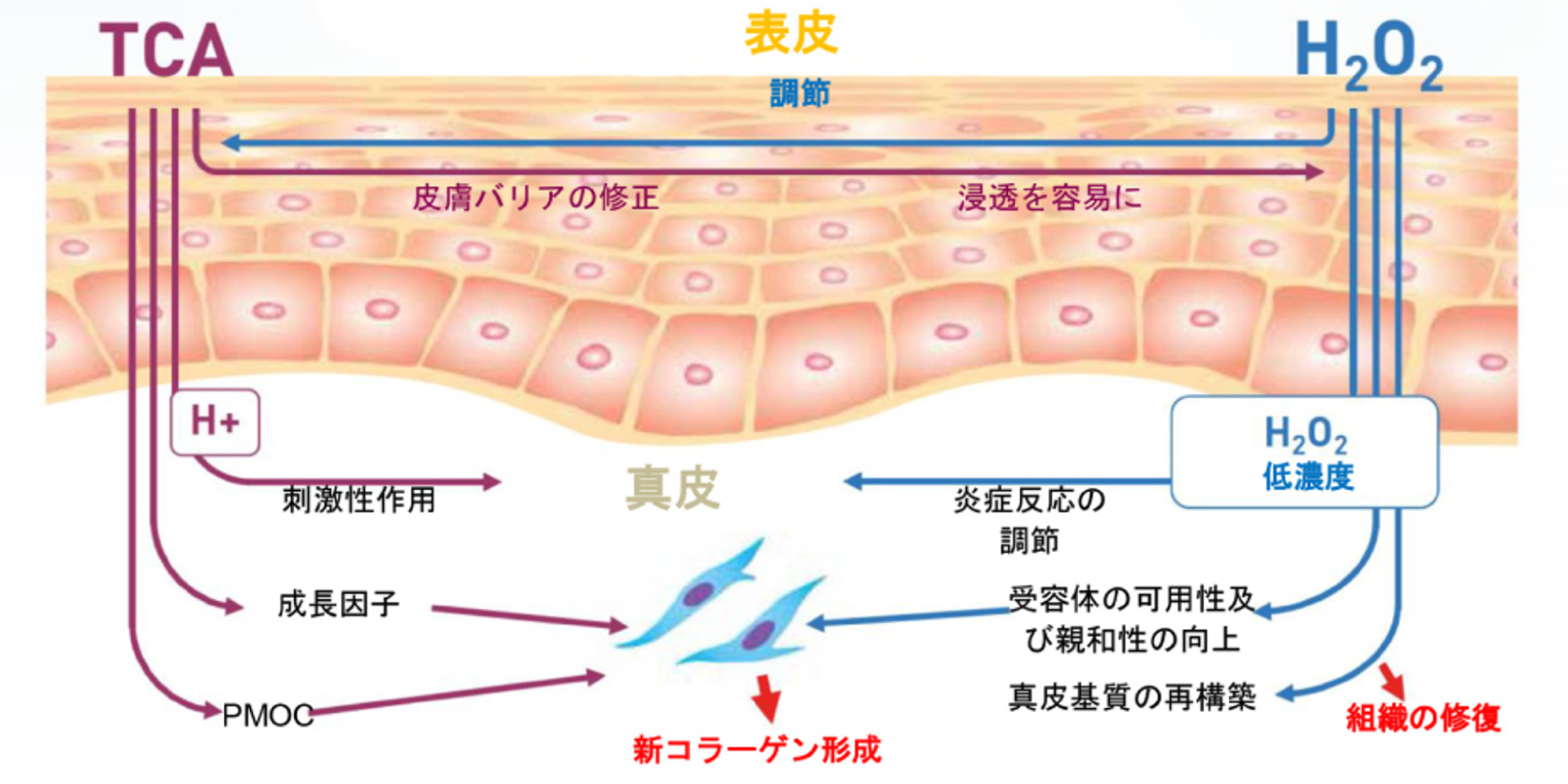 マッサージピールのポイント